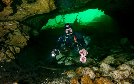 Cave Diving 01