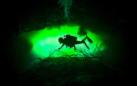 Cenote Diving 02