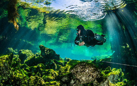 Cenote Diving 05